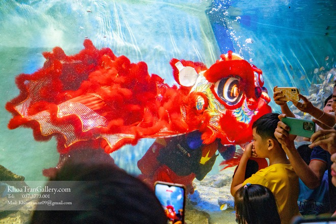 Nơi đầu tiên ở Việt Nam có múa lân dưới nước, nhiều gia đình chen chân đưa trẻ tới chiêm ngưỡng - Ảnh 6.