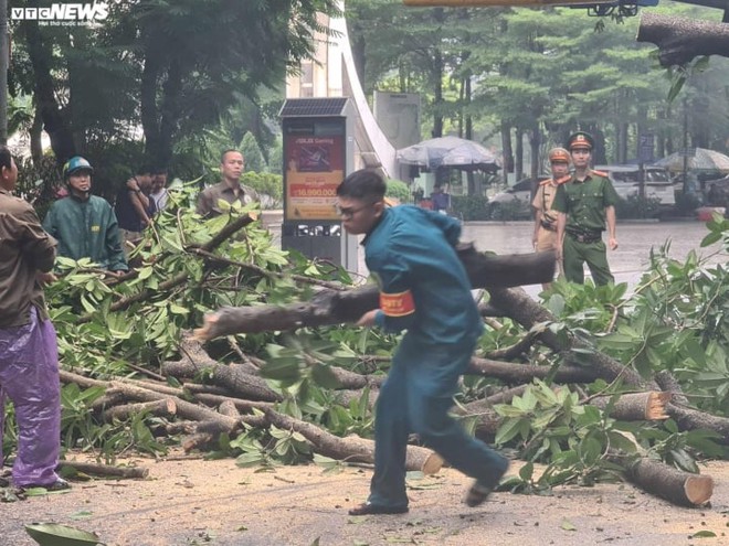 Cây xanh bật gốc, đè trúng xe ô tô con đang đỗ ngược chiều trên phố Hà Nội - Ảnh 4.