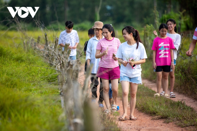 Check-in c&aacute;nh đồng rễ đẹp mơ m&agrave;ng ở Ch&iacute; Linh, Hải Dương - Ảnh 17.