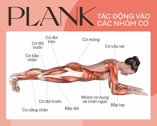 Plank xoay hông: Động tác đốt mỡ bụng, siết eo săn chắc có thể tập ngay tại nhà - Ảnh 1.
