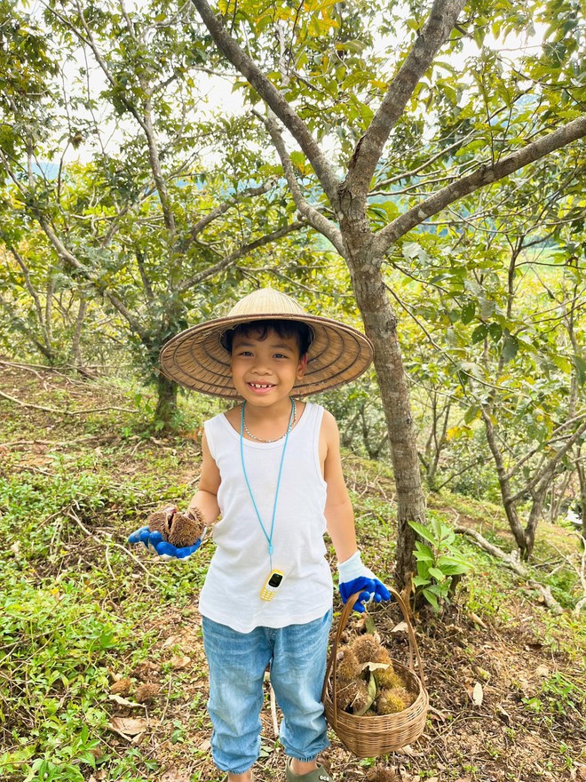 Mùa thu vào rừng thu hoạch hạt dẻ ở các địa điểm cách Hà Nội nhiều nhất 5 tiếng chạy xe - Ảnh 3. Mùa thu vào rừng thu hoạch hạt dẻ ở các địa điểm cách Hà Nội nhiều nhất 5 tiếng chạy xe - Ảnh 3.
