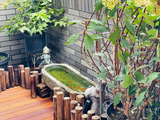 Chi hơn 70 triệu để cải tạo s&acirc;n thượng, cặp vợ chồng c&oacute; kết quả mỹ m&atilde;n với khu vườn 25m&sup2; xanh mướt mắt - Ảnh 7.