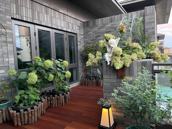 Chi hơn 70 triệu để cải tạo s&acirc;n thượng, cặp vợ chồng c&oacute; kết quả mỹ m&atilde;n với khu vườn 25m&sup2; xanh mướt mắt - Ảnh 6.