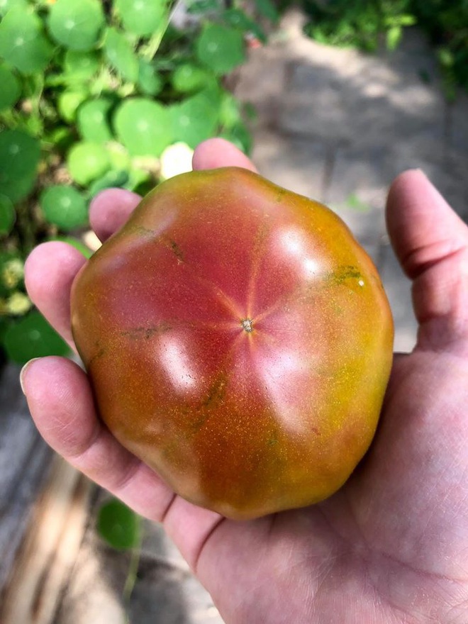 Bà mẹ 2 con từ chối công việc thành phố, cùng gia đình về quê trồng cả vườn rau đẹp như tranh vẽ - Ảnh 7.