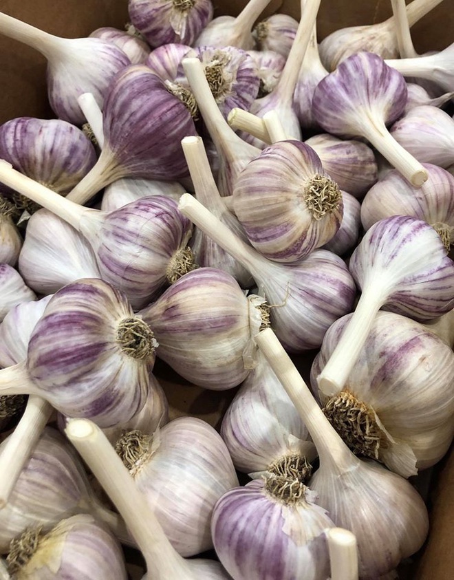 Bà mẹ 2 con từ chối công việc thành phố, cùng gia đình về quê trồng cả vườn rau đẹp như tranh vẽ - Ảnh 6.