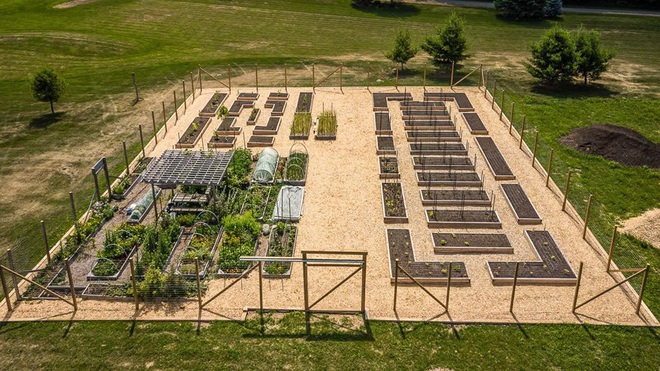 Bà mẹ 2 con từ chối công việc thành phố, cùng gia đình về quê trồng cả vườn rau đẹp như tranh vẽ - Ảnh 2.