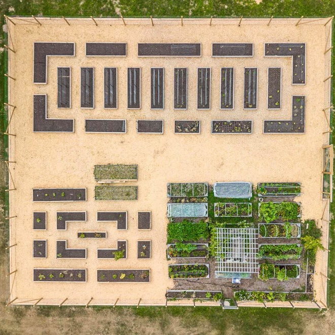 Bà mẹ 2 con từ chối công việc thành phố, cùng gia đình về quê trồng cả vườn rau đẹp như tranh vẽ - Ảnh 1.