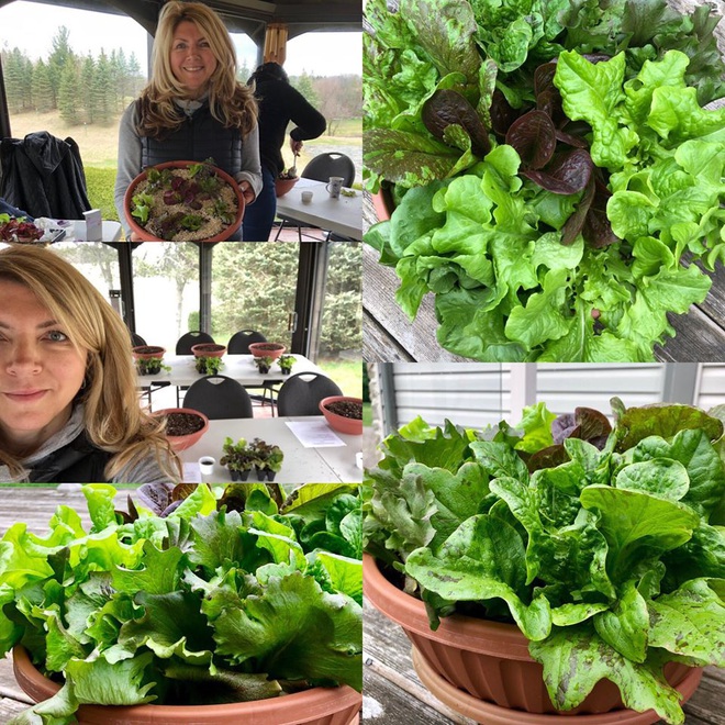 Bà mẹ 2 con từ chối công việc thành phố, cùng gia đình về quê trồng cả vườn rau đẹp như tranh vẽ - Ảnh 15.