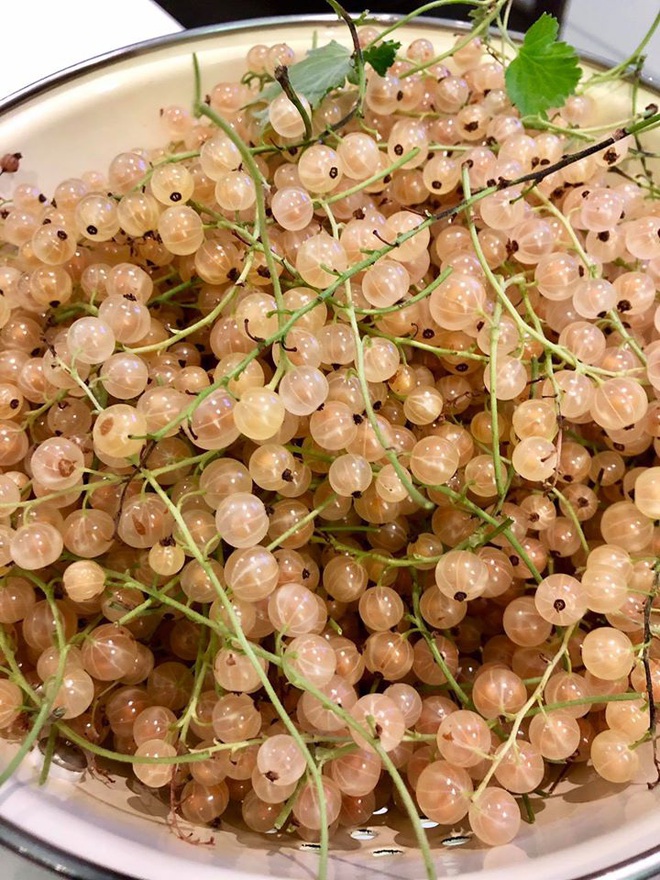 Bà mẹ 2 con từ chối công việc thành phố, cùng gia đình về quê trồng cả vườn rau đẹp như tranh vẽ - Ảnh 14.