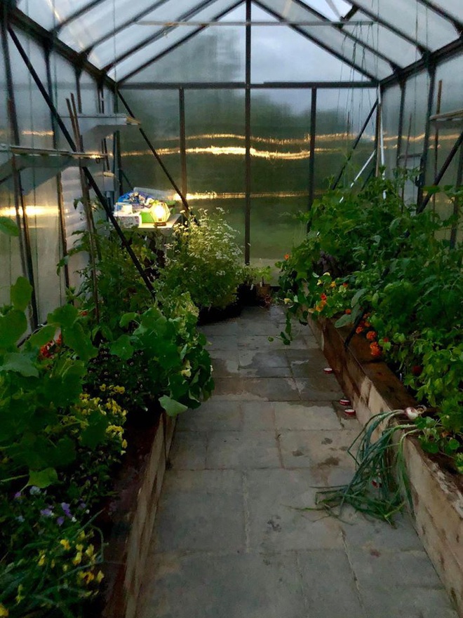 Bà mẹ 2 con từ chối công việc thành phố, cùng gia đình về quê trồng cả vườn rau đẹp như tranh vẽ - Ảnh 13.