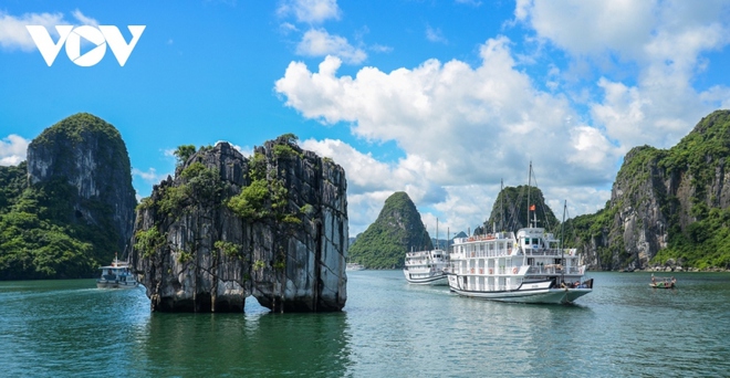 Tripadvisor chọn 2 điểm đến Việt Nam trong top thịnh hành nhất thế giới - Ảnh 1.