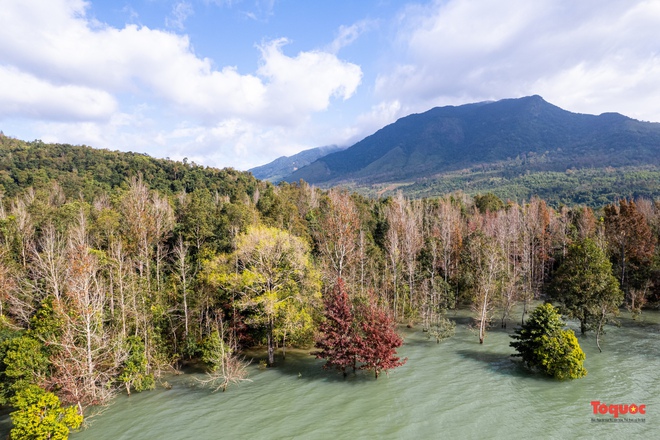 Mùa cây trút lá tuyệt đẹp ở miền Tây Quảng Trị - Ảnh 7.