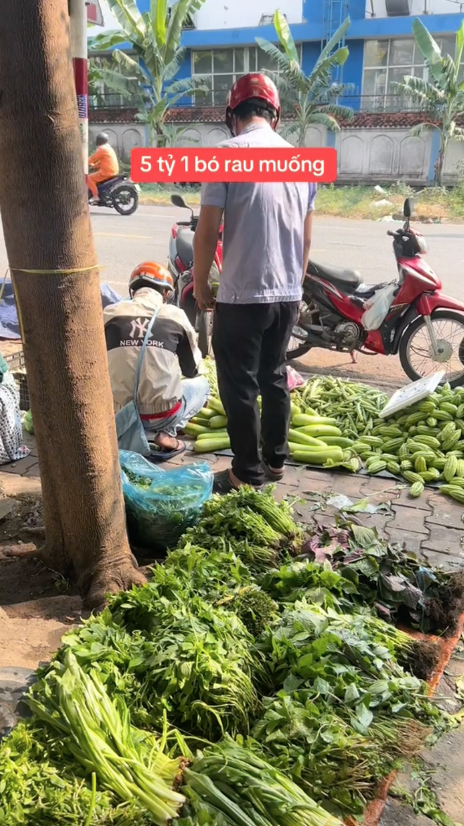 Anh bán rau treo biển 5 tỷ cho bó rau muống đột biến, dân mạng đồng ...