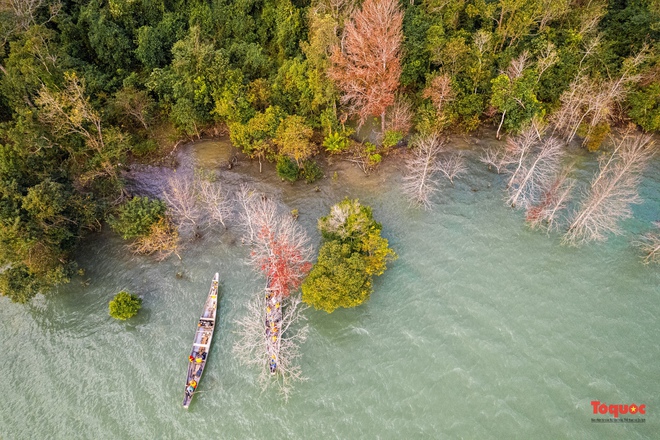 Mùa cây trút lá tuyệt đẹp ở miền Tây Quảng Trị - Ảnh 12.