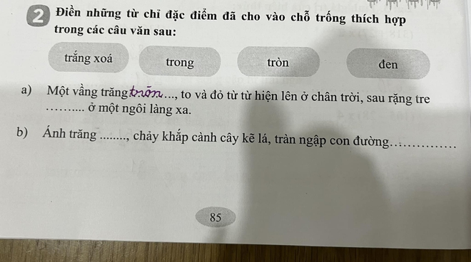 Câu văn nổi tiếng bỗng gây tranh cãi, phụ huynh nói: Ở nông thôn bao năm, chưa từng thấy cảnh như văn miêu tả - Ảnh 1.