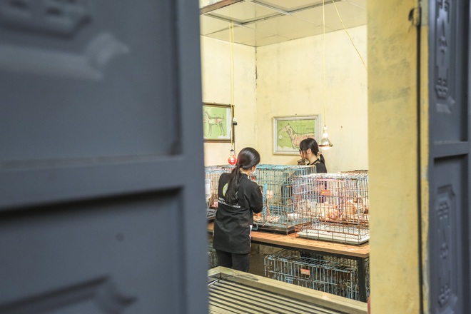 Đến thăm trạm cứu hộ chó mèo của các bạn sinh viên ở Hà Nội: Các bé được nhận về đây đều trong tình trạng hoảng loạn - Ảnh 10.