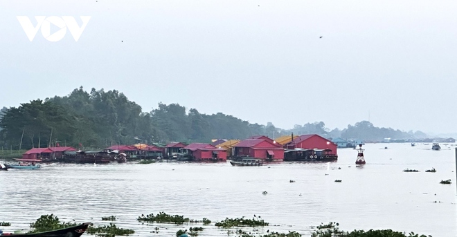 Đưa Làng bè sắc màu ngã ba sông Châu Đốc vào khai thác du lịch - Ảnh 2.