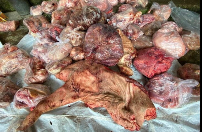 Đi chợ Tết đừng mua thịt, nội tạng động vật có dấu hiệu này vì dễ mua phải hàng đông lạnh ôi thiu, chứa ổ vi khuẩn đáng sợ - Ảnh 1.