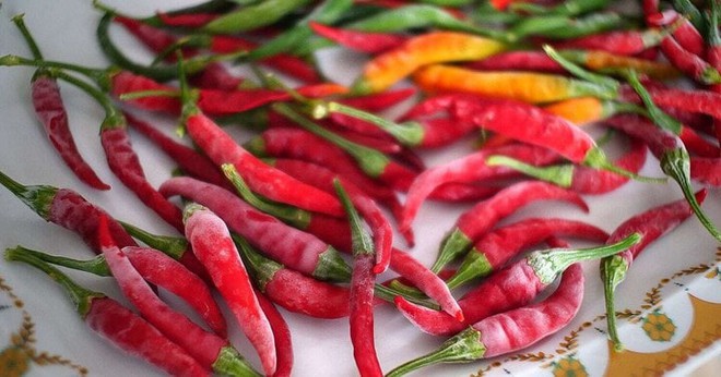 C&aacute;ch bảo quản ớt v&agrave;i th&aacute;ng vẫn tươi như mới h&aacute;i - Ảnh 2.