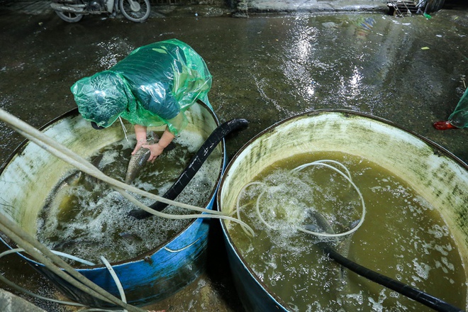 Hà Nội lạnh 9 độ C: Tiểu thương chợ cá Yên Sở vẫn ngâm tay trần trong nước lạnh - Ảnh 10.