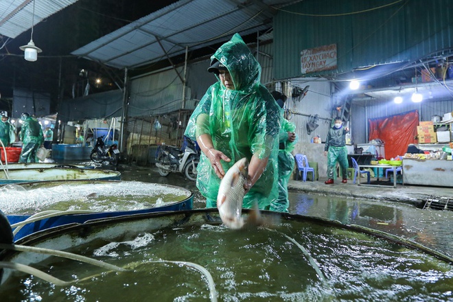 Hà Nội lạnh 9 độ C: Tiểu thương chợ cá Yên Sở vẫn ngâm tay trần trong nước lạnh - Ảnh 6.