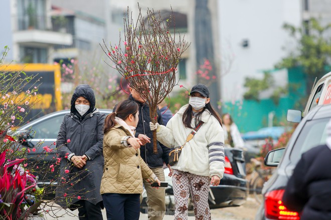 Người dân Thủ đô xuống phố săn đào dăm, đào cành ngày Rằm tháng Chạp - Ảnh 11.