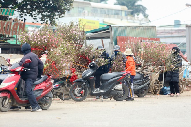 Người dân Thủ đô xuống phố săn đào dăm, đào cành ngày Rằm tháng Chạp - Ảnh 7.