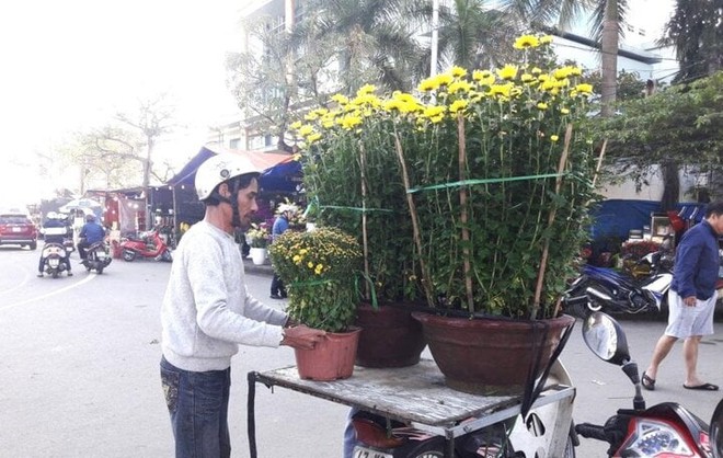 Chở đ&agrave;o quất bằng xe m&aacute;y c&oacute; thể bị phạt đến 600.000 đồng - Ảnh 1.