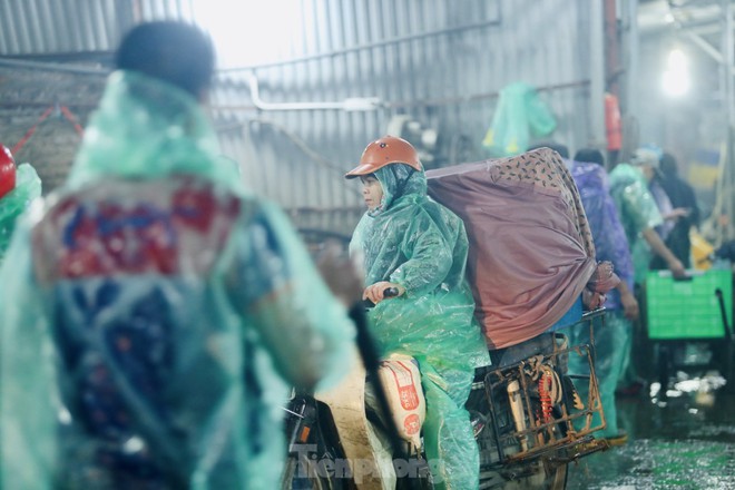 Chợ c&aacute; Y&ecirc;n Sở ngập sắc đỏ trước ng&agrave;y tiễn &ocirc;ng T&aacute;o về trời - Ảnh 11.