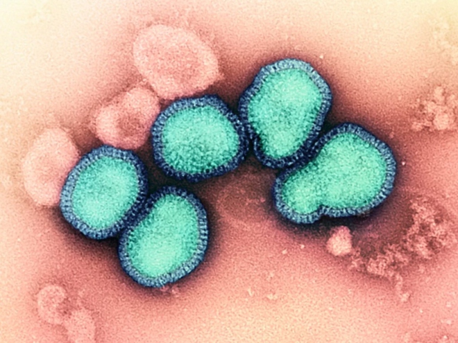 Trung Quốc xuất hiện ca tử vong do nhiễm hỗn hợp virus c&uacute;m A/H3N2 v&agrave; H10N5 - Ảnh 1.