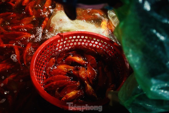 Chợ c&aacute; Y&ecirc;n Sở ngập sắc đỏ trước ng&agrave;y tiễn &ocirc;ng T&aacute;o về trời - Ảnh 8.