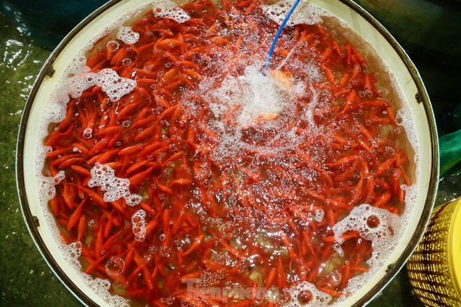 Chợ c&aacute; Y&ecirc;n Sở ngập sắc đỏ trước ng&agrave;y tiễn &ocirc;ng T&aacute;o về trời - Ảnh 7.