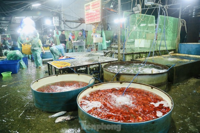 Chợ c&aacute; Y&ecirc;n Sở ngập sắc đỏ trước ng&agrave;y tiễn &ocirc;ng T&aacute;o về trời - Ảnh 6.