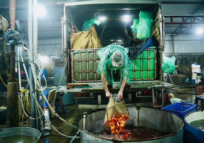 Chợ c&aacute; Y&ecirc;n Sở ngập sắc đỏ trước ng&agrave;y tiễn &ocirc;ng T&aacute;o về trời - Ảnh 3.