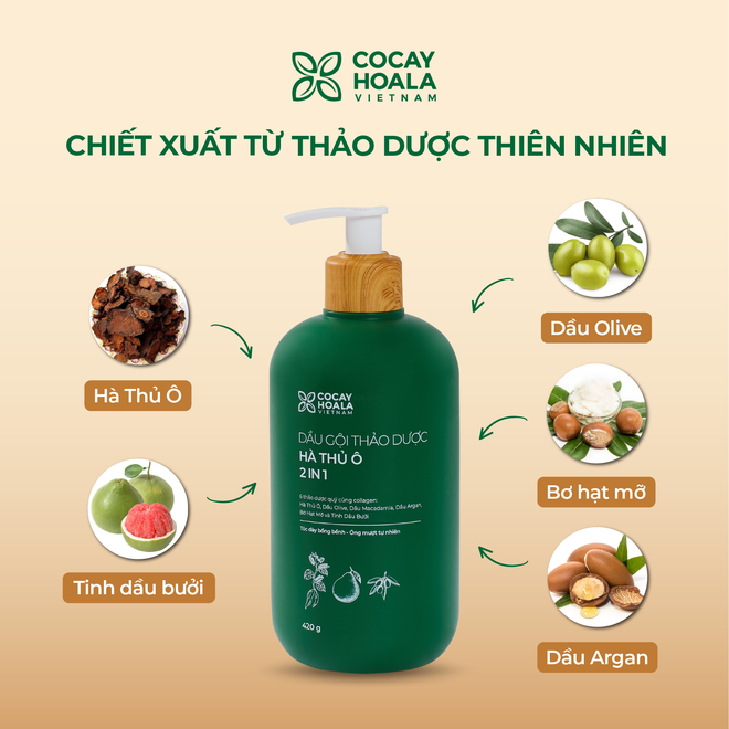 Chăm sóc mãi mà tóc vẫn khô xơ thì bạn nên đổi sang dùng dầu gội thảo dược - Ảnh 14.