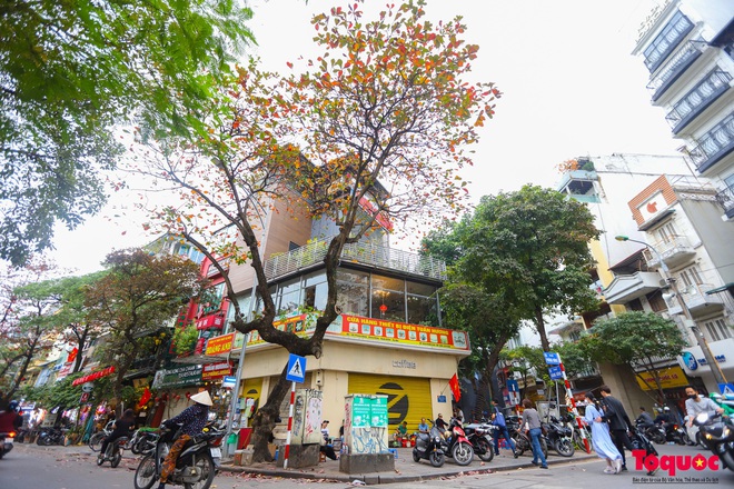 C&oacute; một H&agrave; Nội đẹp lạ, l&atilde;ng mạn m&ugrave;a c&acirc;y b&agrave;ng l&aacute; đỏ - Ảnh 14.