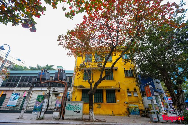 C&oacute; một H&agrave; Nội đẹp lạ, l&atilde;ng mạn m&ugrave;a c&acirc;y b&agrave;ng l&aacute; đỏ - Ảnh 10.