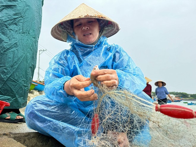 Ngư dân Quảng Ngãi ‘đánh cược’ tính mạng, dong thúng ra khơi bất chấp lệnh cấm biển- Ảnh 14.