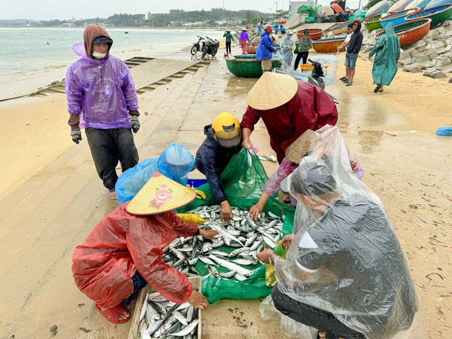 Ngư dân Quảng Ngãi ‘đánh cược’ tính mạng, dong thúng ra khơi bất chấp lệnh cấm biển- Ảnh 16.