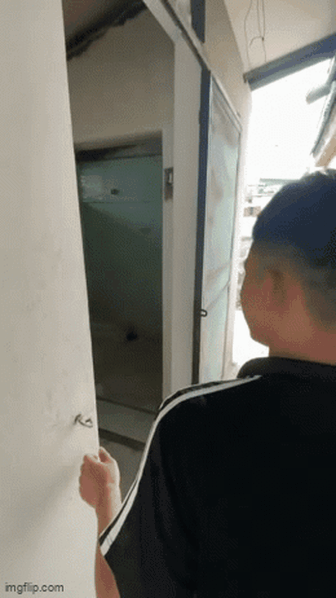 Căn nh&agrave; ở trung t&acirc;m H&agrave; Nội được rao b&aacute;n 1,5 tỷ đồng với tổng diện t&iacute;ch sử dụng 150m2: Con số tr&ecirc;n sổ đỏ khiến ai cũng ng&atilde; ngửa!- Ảnh 4.