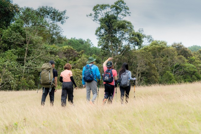 Trải nghiệm cung đường trekking đẹp nhất Việt Nam mùa cỏ cháy- Ảnh 6.