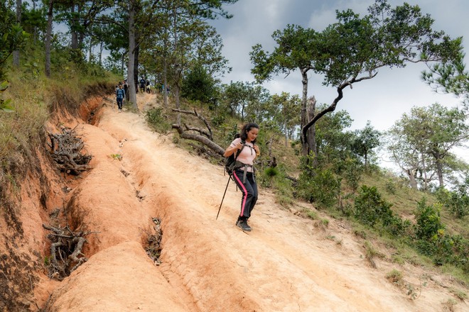 Trải nghiệm cung đường trekking đẹp nhất Việt Nam mùa cỏ cháy- Ảnh 14.