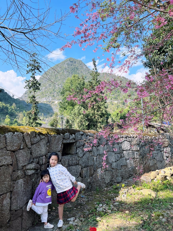 View - Chuyến đi khó quên của gia đình nhỏ ở Hà Giang, trẻ nhỏ mê mệt, ngắm hoa đào, hoa mận rợp trời