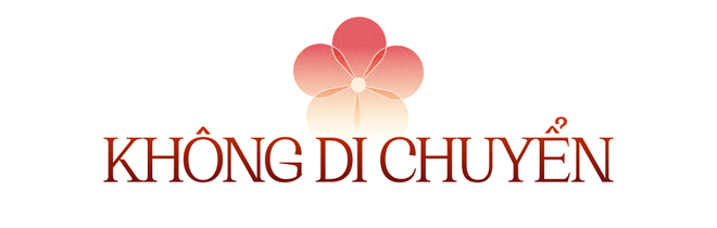 Muốn cả năm may mắn, ph&uacute;c lộc g&otilde; cửa, h&atilde;y lưu &yacute; điều n&agrave;y cho kh&ocirc;ng gian sống của m&igrave;nh - Ảnh 1.