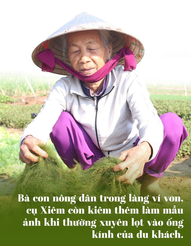 Lạ đời du kh&aacute;ch bỏ tiền vọc đất trồng rau, n&ocirc;ng d&acirc;n &lsquo;bắn&rsquo; tiếng Anh như gi&oacute; - Ảnh 7.