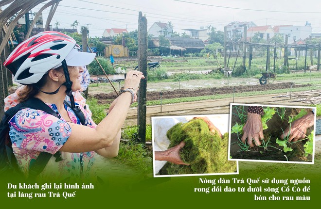 Lạ đời du kh&aacute;ch bỏ tiền vọc đất trồng rau, n&ocirc;ng d&acirc;n &lsquo;bắn&rsquo; tiếng Anh như gi&oacute; - Ảnh 6.