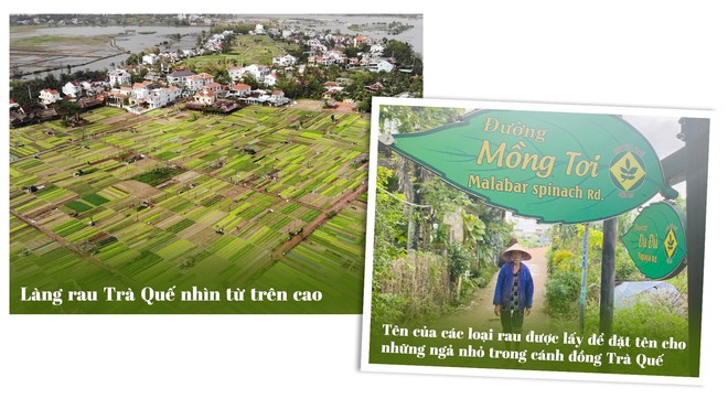 Lạ đời du kh&aacute;ch bỏ tiền vọc đất trồng rau, n&ocirc;ng d&acirc;n &lsquo;bắn&rsquo; tiếng Anh như gi&oacute; - Ảnh 2.