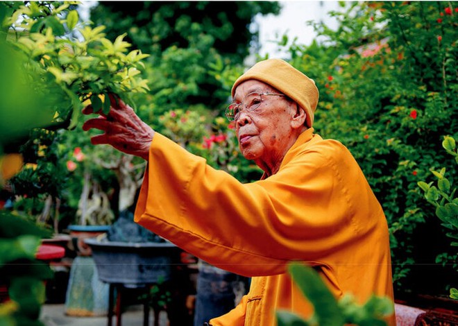 Ph&oacute; Ph&aacute;p chủ Th&iacute;ch Hiển Tu vi&ecirc;n tịch, đại thọ 104 tuổi - Ảnh 1.