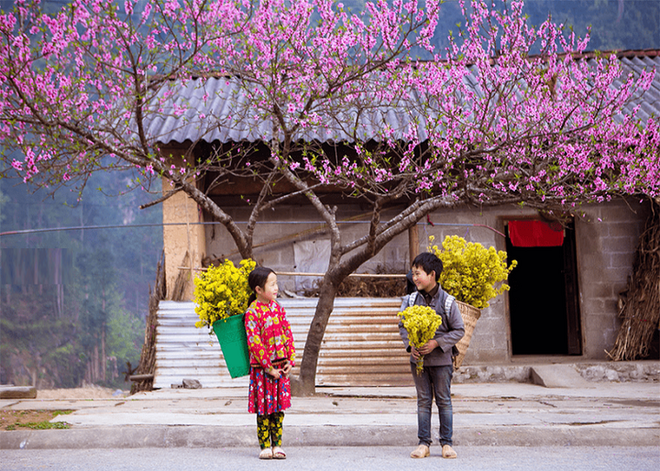 Lịch trình gợi ý cho người lần đầu đi Hà Giang - Ảnh 1.