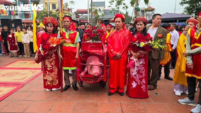 Bắc Ninh: Dân làng Ném Thượng tổ chức nghi lễ chém lợn trong phòng kín - Ảnh 3.